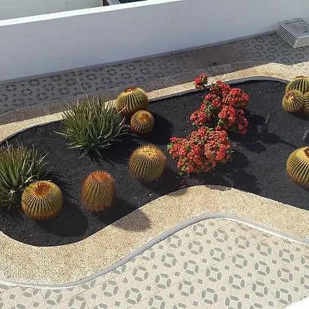 Apartament Panelo Cactus